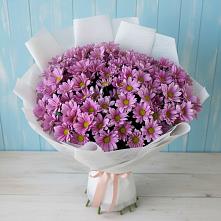 Букет цветов из:  Хризантемы в Анадыри